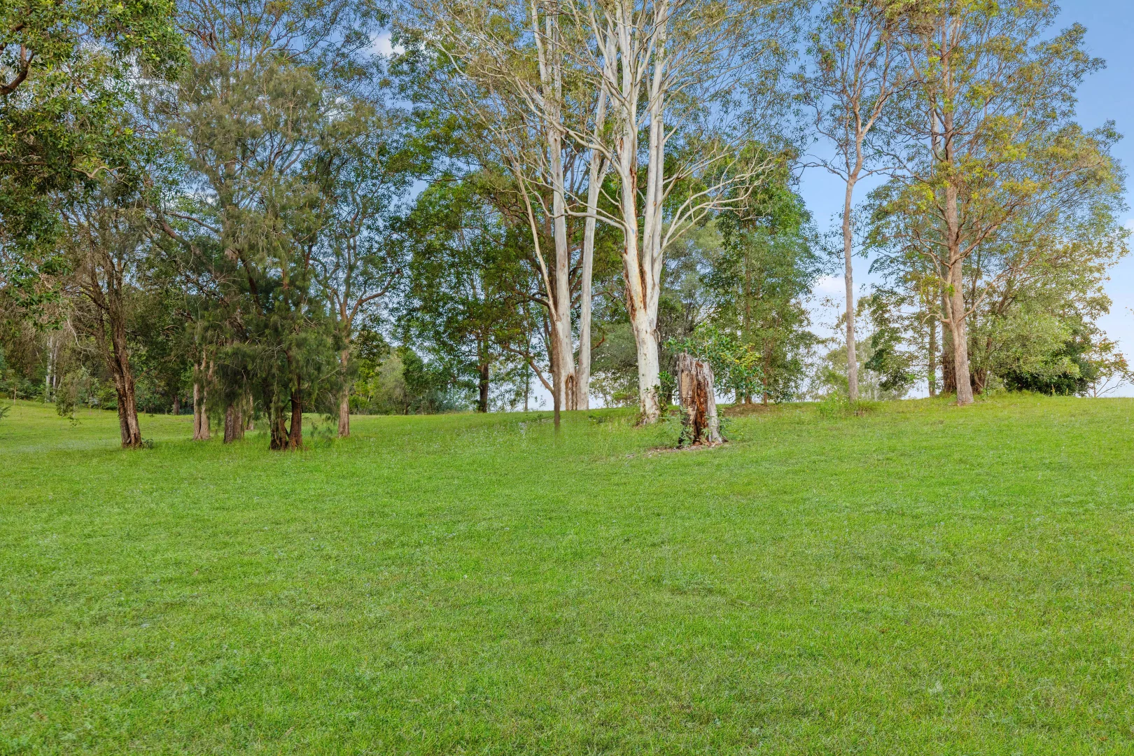 Image 22