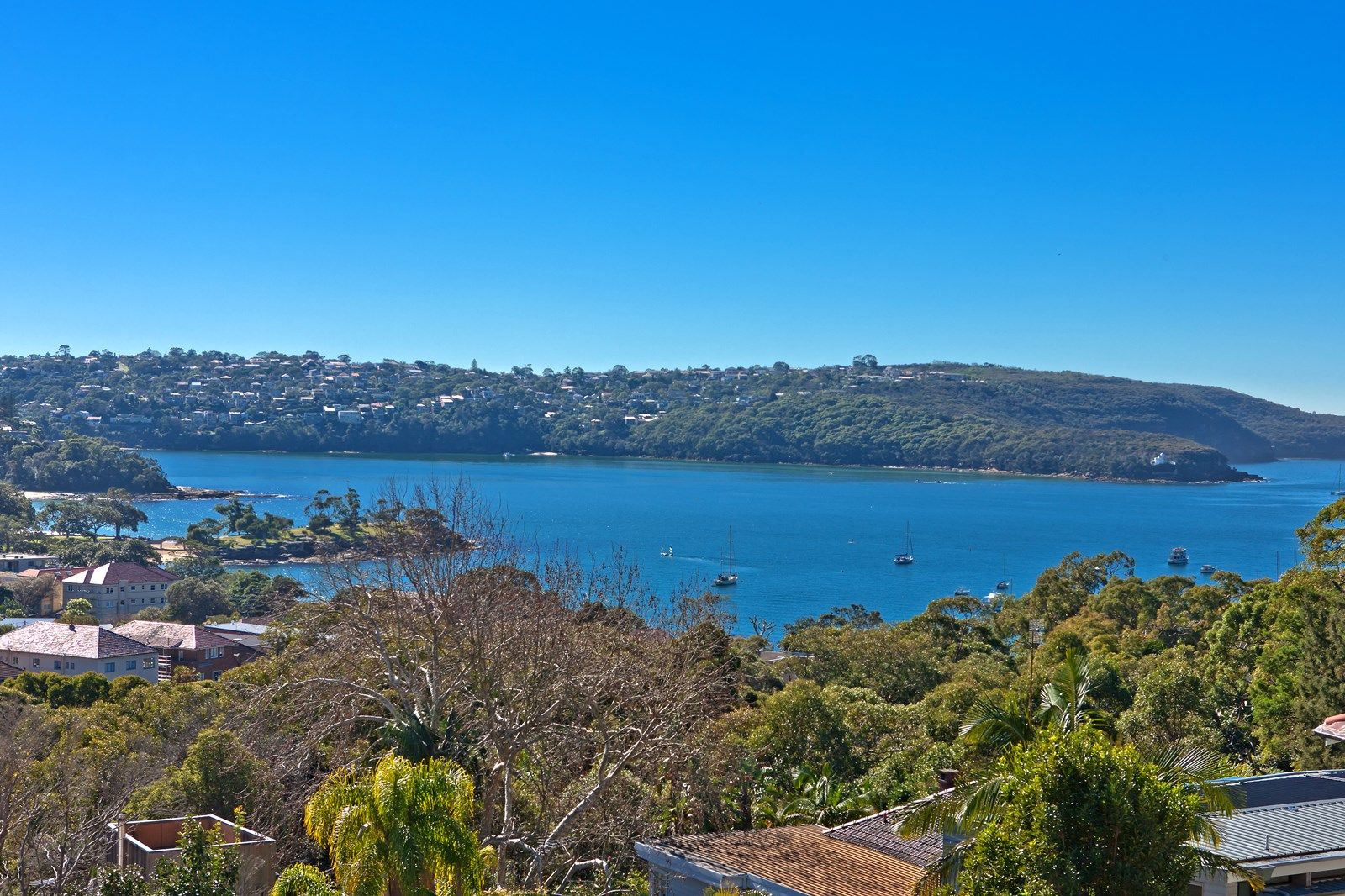 3 Dugald Road, Mosman NSW 2088, Image 2