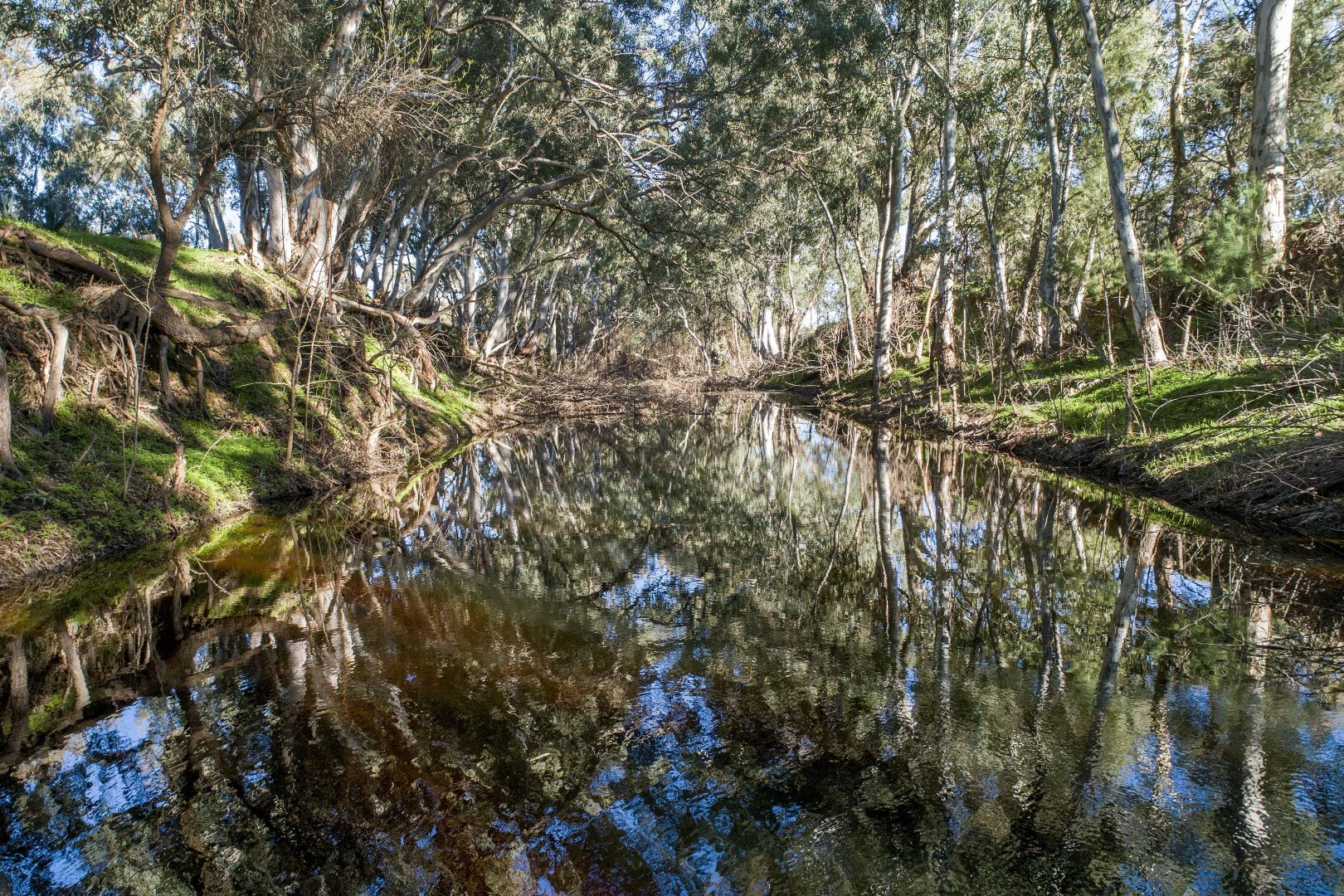 48 Wegner Road, Wirrabara SA 5481, Image 1