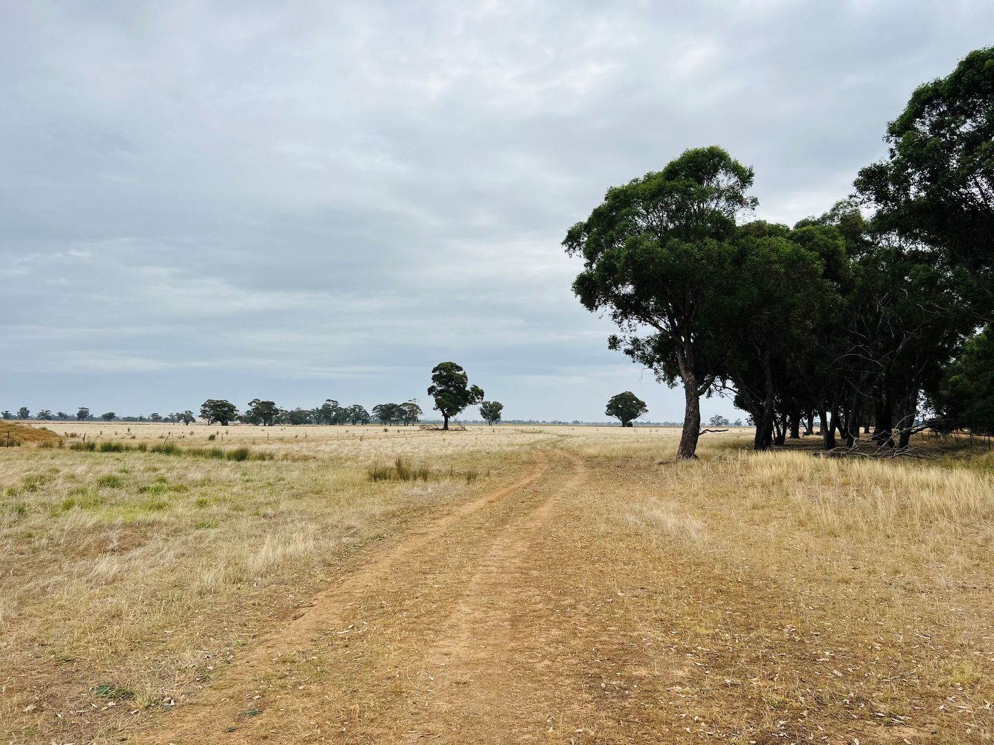 Nine Mile - Woosang Road, Woosang VIC 3518, Image 2