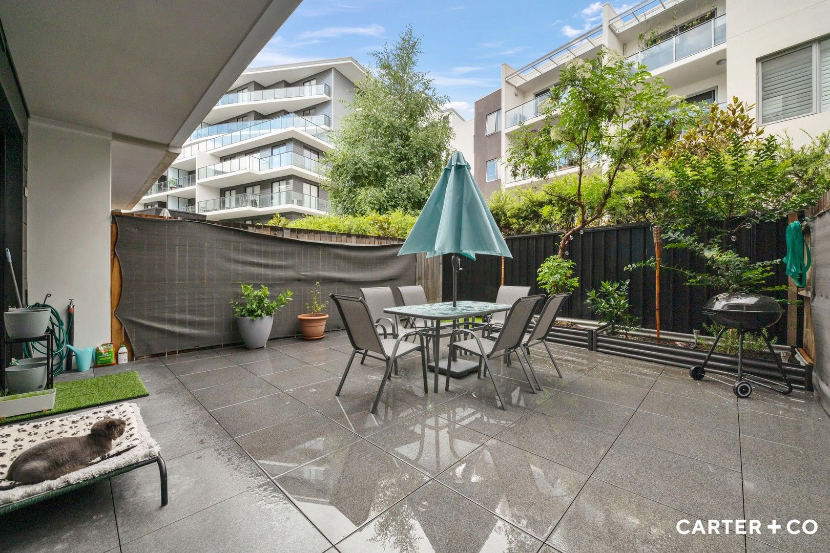77/5 Hely Street, Griffith ACT 2603, Image 0