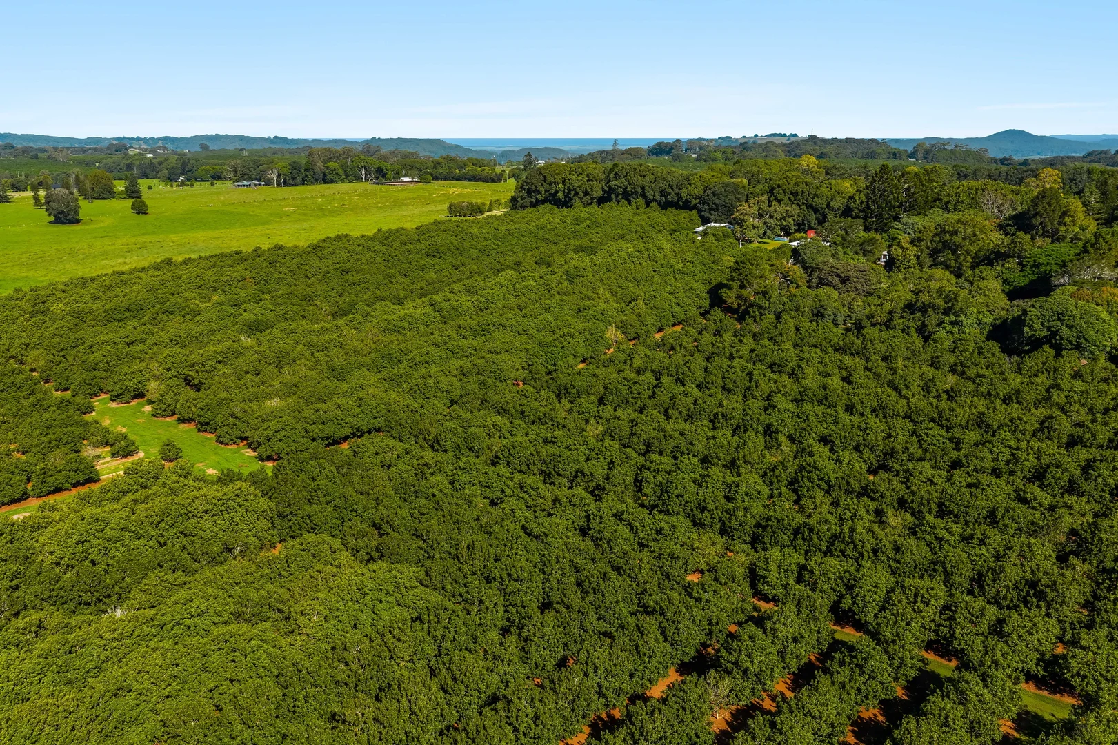 Additional image 18 of 250 Dalwood Road, Dalwood NSW 2477