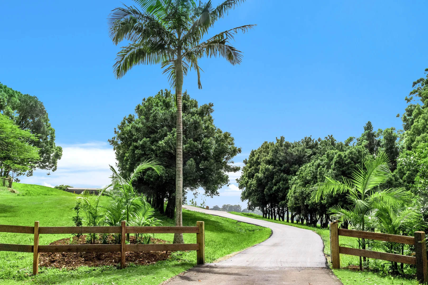 Additional image 25 of 362 Coorabell Road, Coorabell NSW 2479