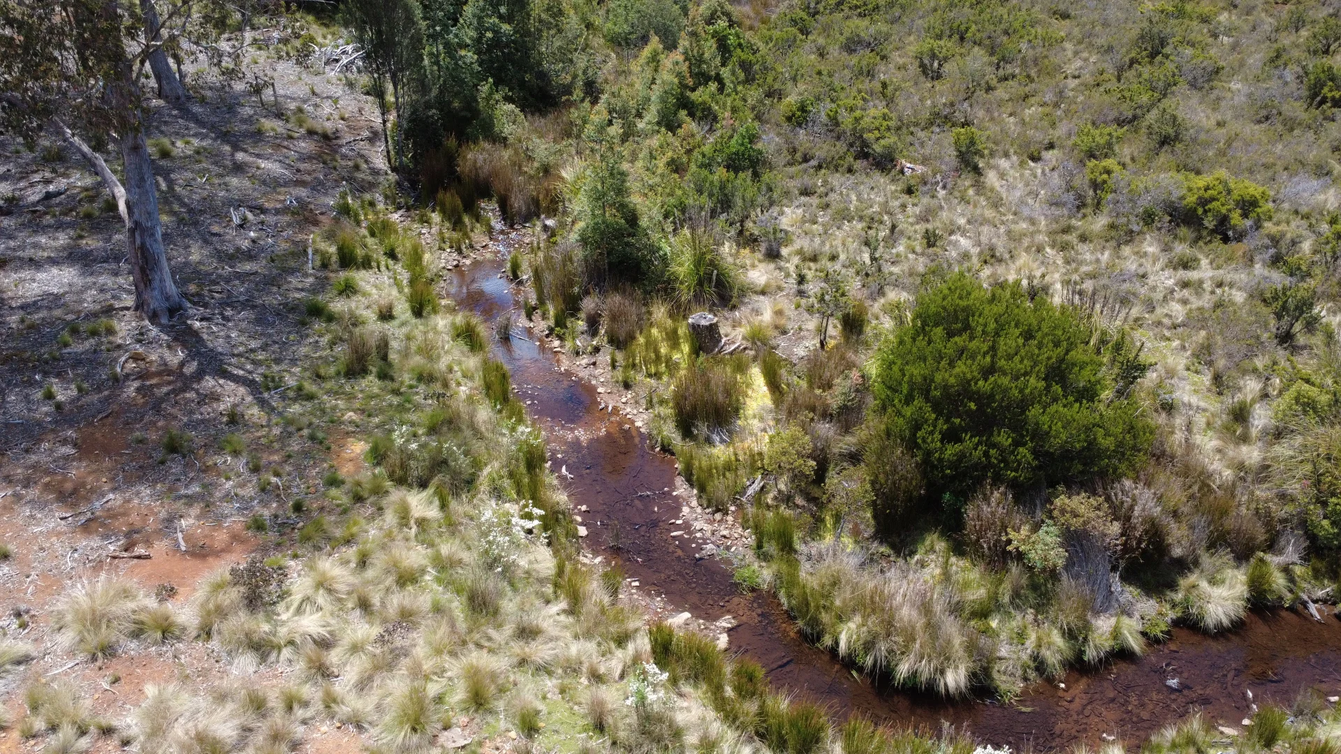 Additional image 14 of 396 Waratah Rd, Waratah TAS 7321