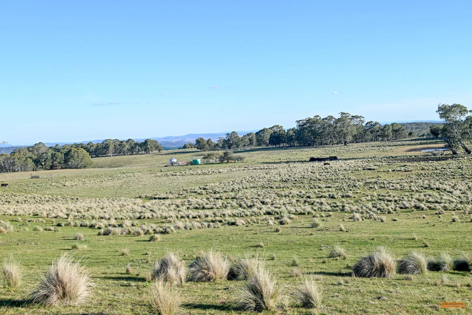 Image 31