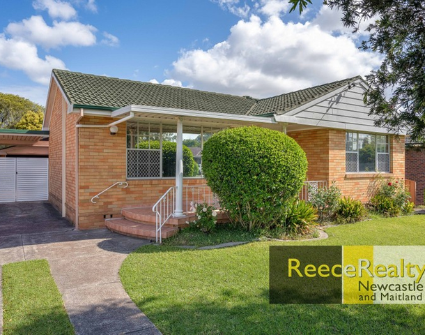 41 Cameron Street, Jesmond NSW 2299