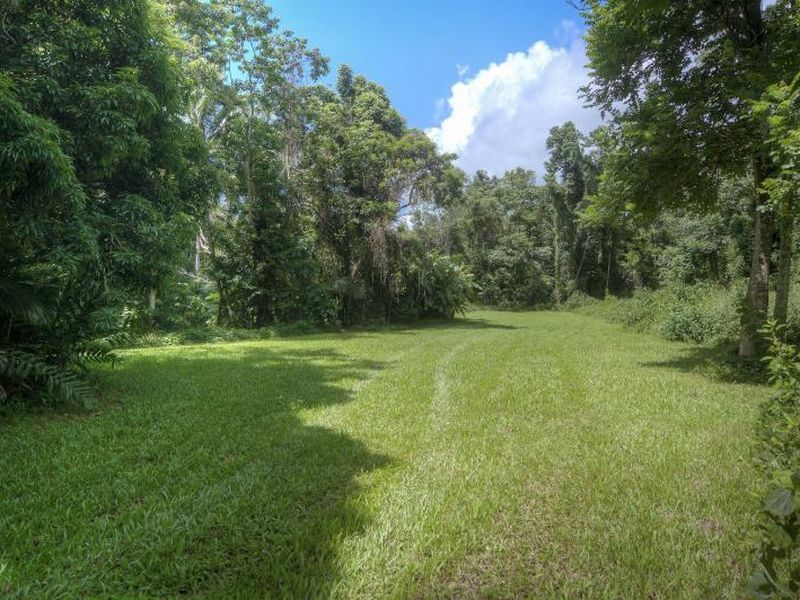 Lot 2 Finlayvale Road, Mossman QLD 4873, Image 1