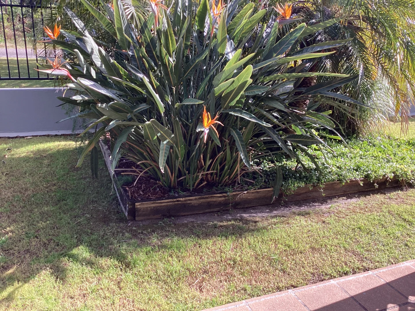 Image 9