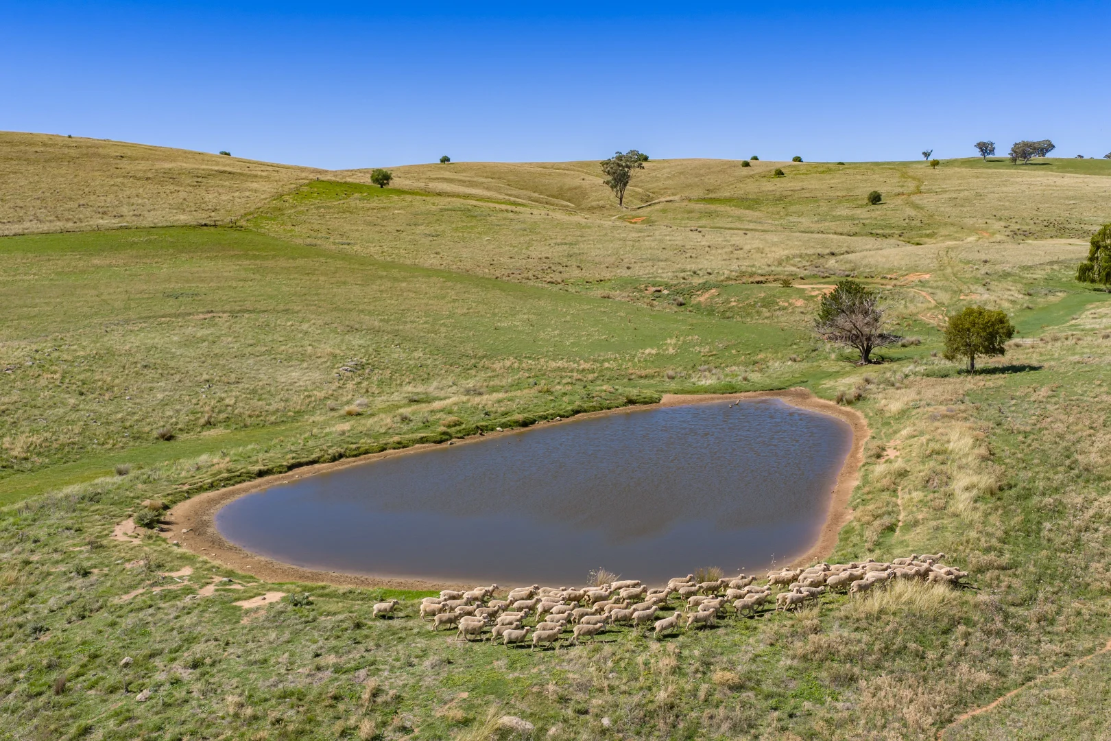 Additional image 22 of 306 Moola Road, Canowindra NSW 2804