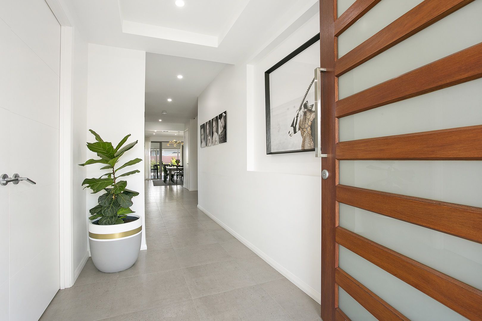 33 Doolan Crescent, Harrington Park NSW 2567, Image 1