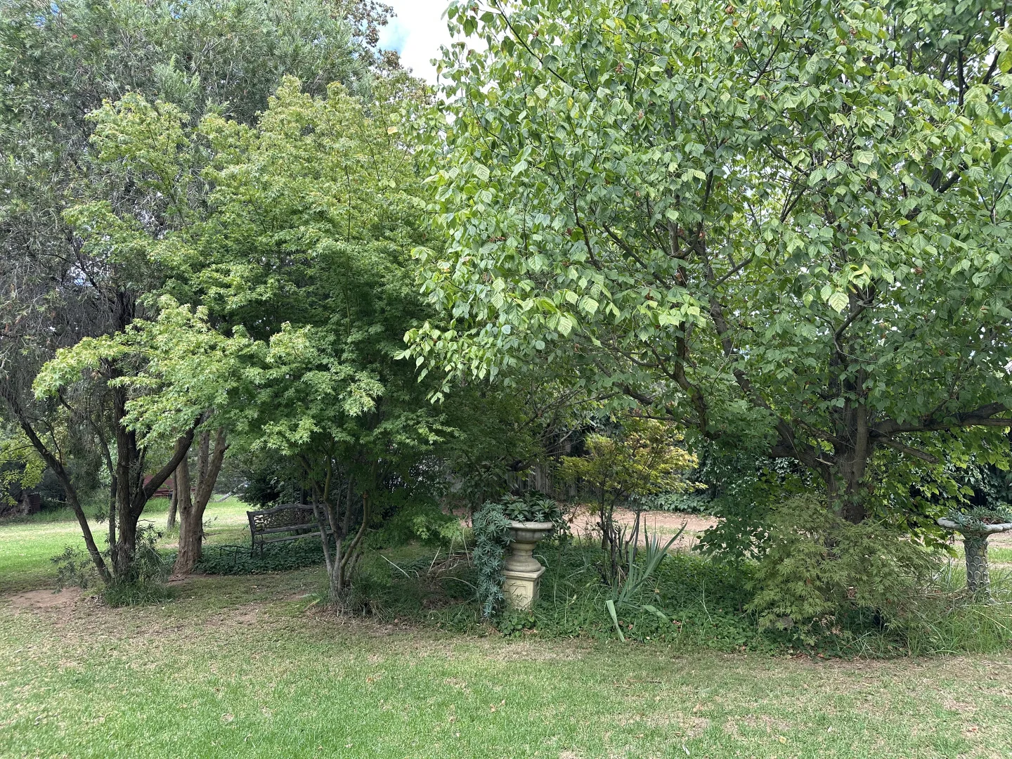 Image 24