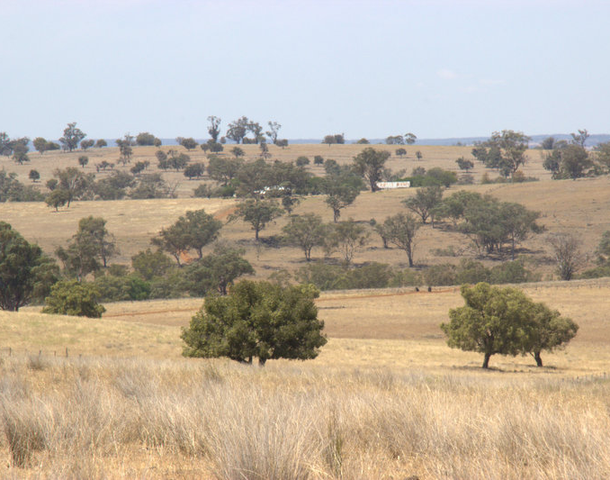 Lot 459 Oxley Highway, Coonabarabran NSW 2357