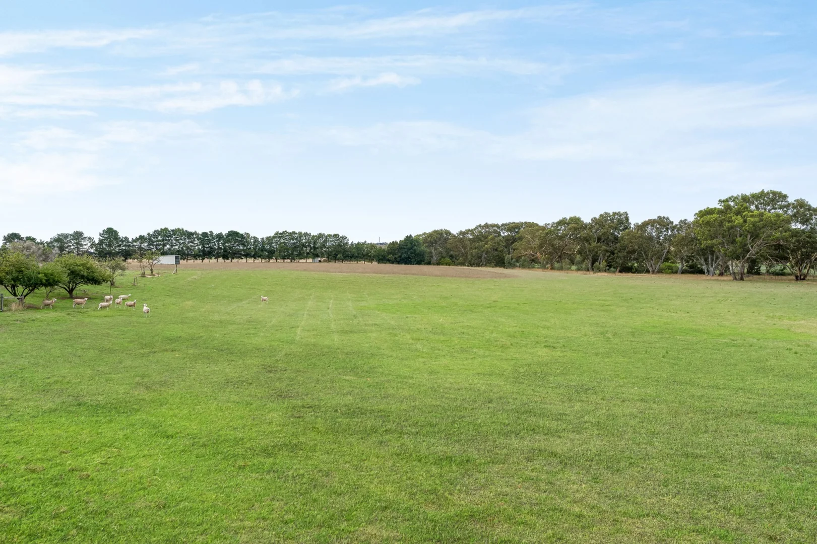 Additional image 19 of 230 Inverleigh-Shelford Road, Inverleigh VIC 3321