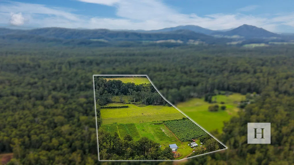 Additional image 20 of 200 Coopernook Forest Way, Lansdowne Forest NSW 2430