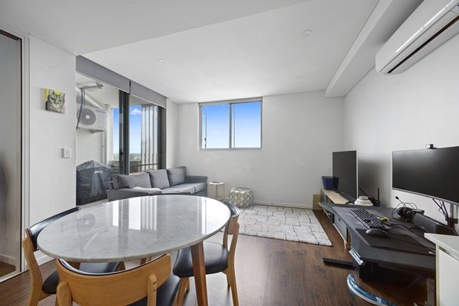 1075 Rental Properties In Belmore Nsw 2192 Domain