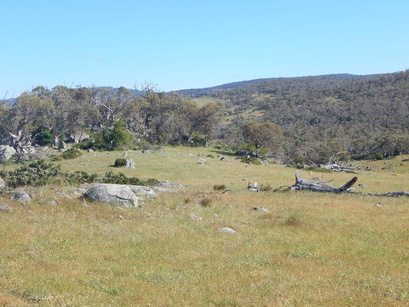 Lot 1 Stoney Creek Rd, Berridale NSW 2628, Image 1