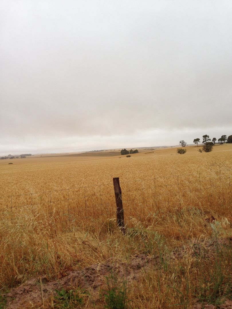 Lot 23 Main Street, Huddleston SA 5523, Image 2