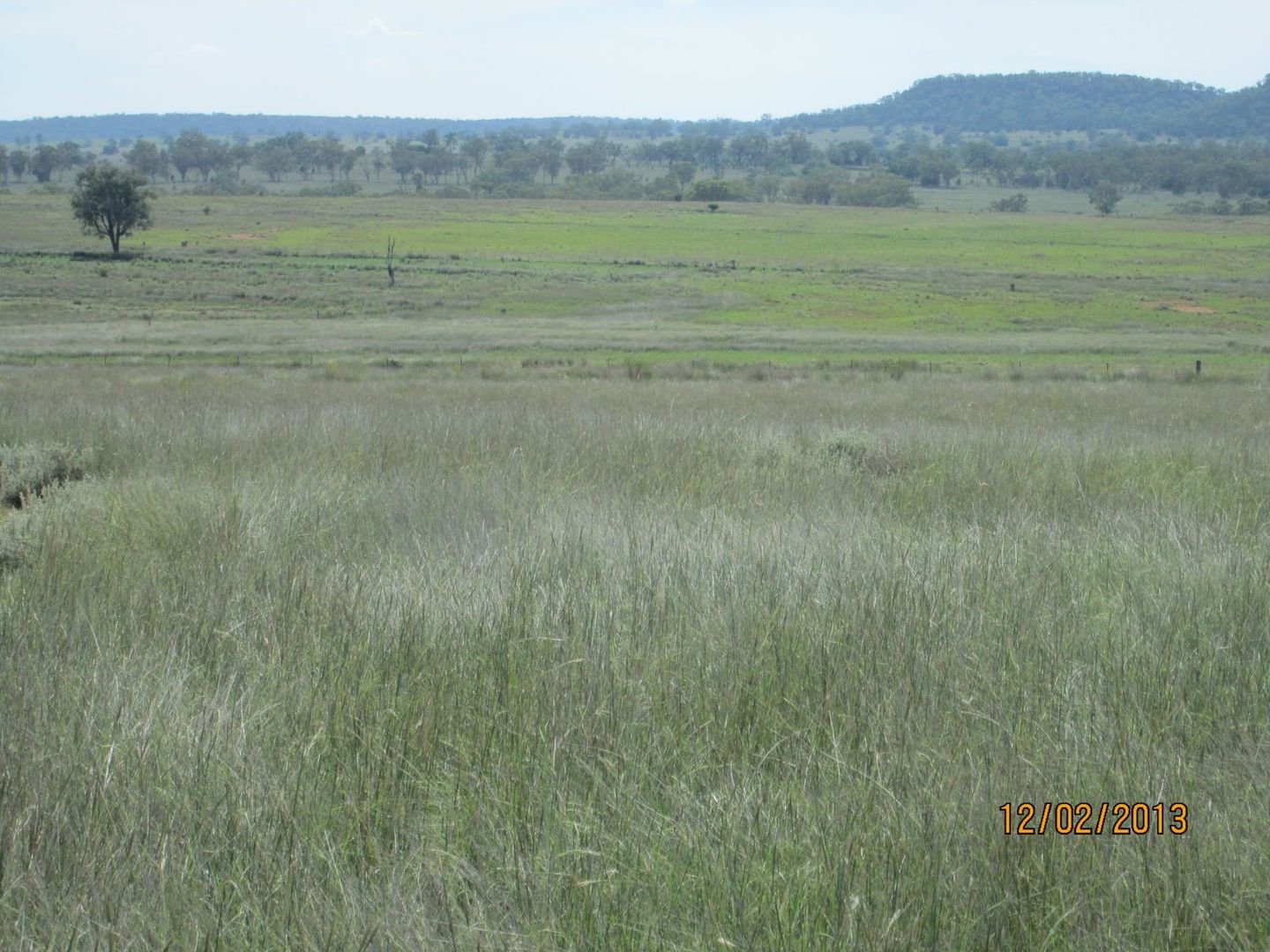 "Esmadale", Warialda NSW 2402, Image 1