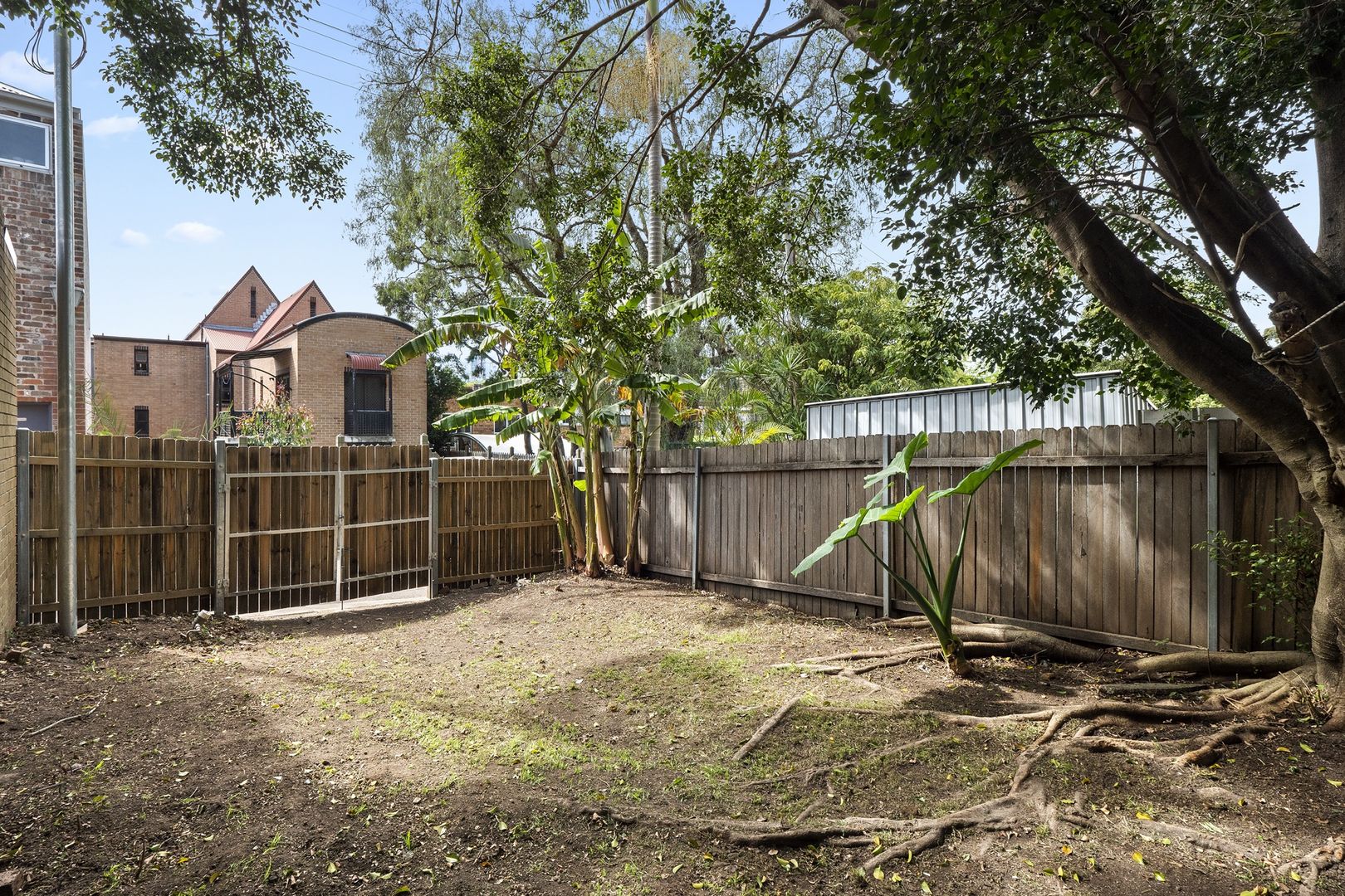 83 Derwent Street, Glebe NSW 2037, Image 1