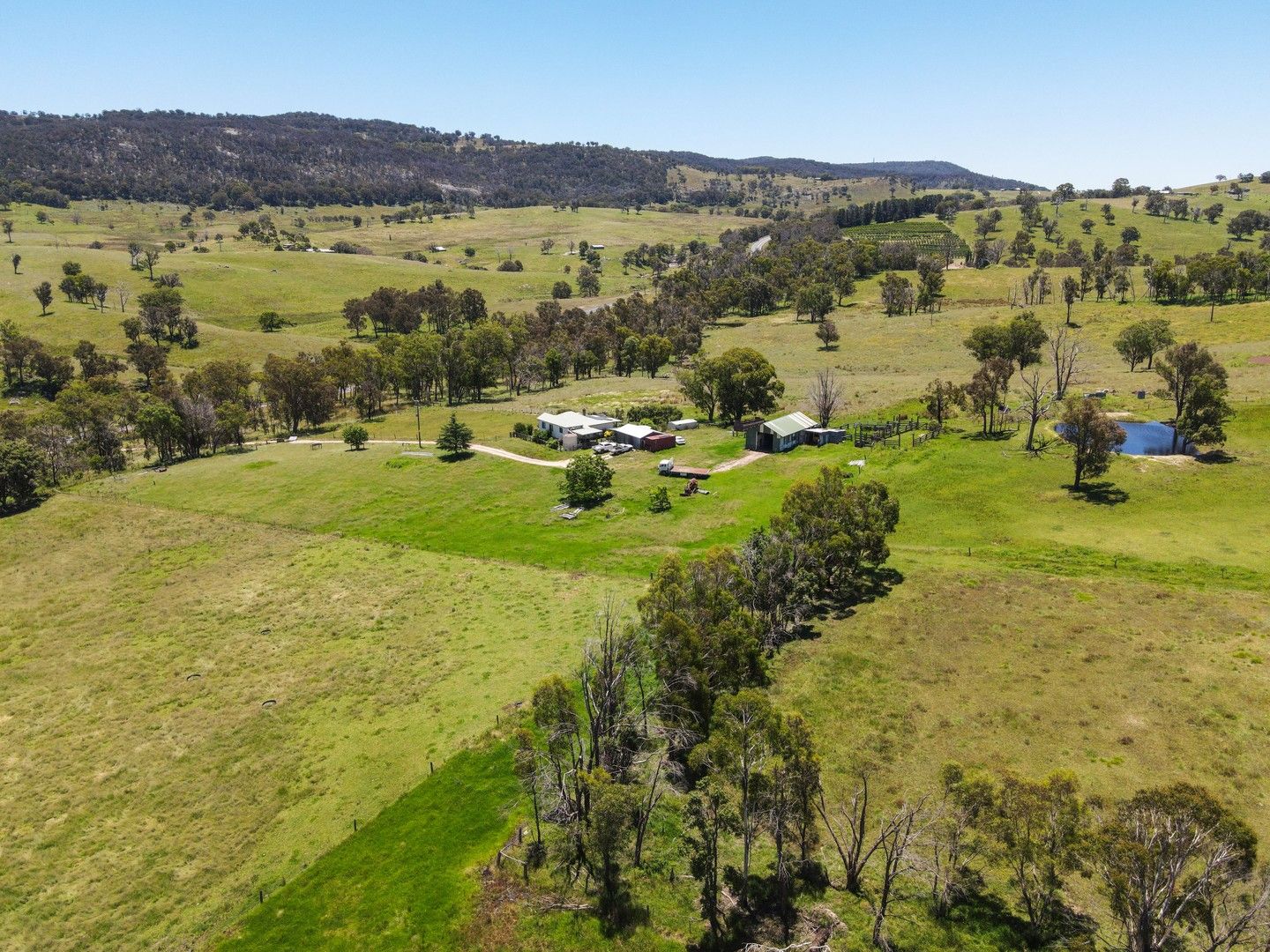 8038 New England Highway, Tenterfield NSW 2372 House for Sale 680,000