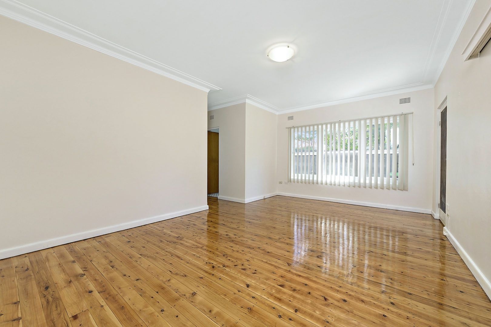 3/137 Frederick Street, Ashfield NSW 2131, Image 1