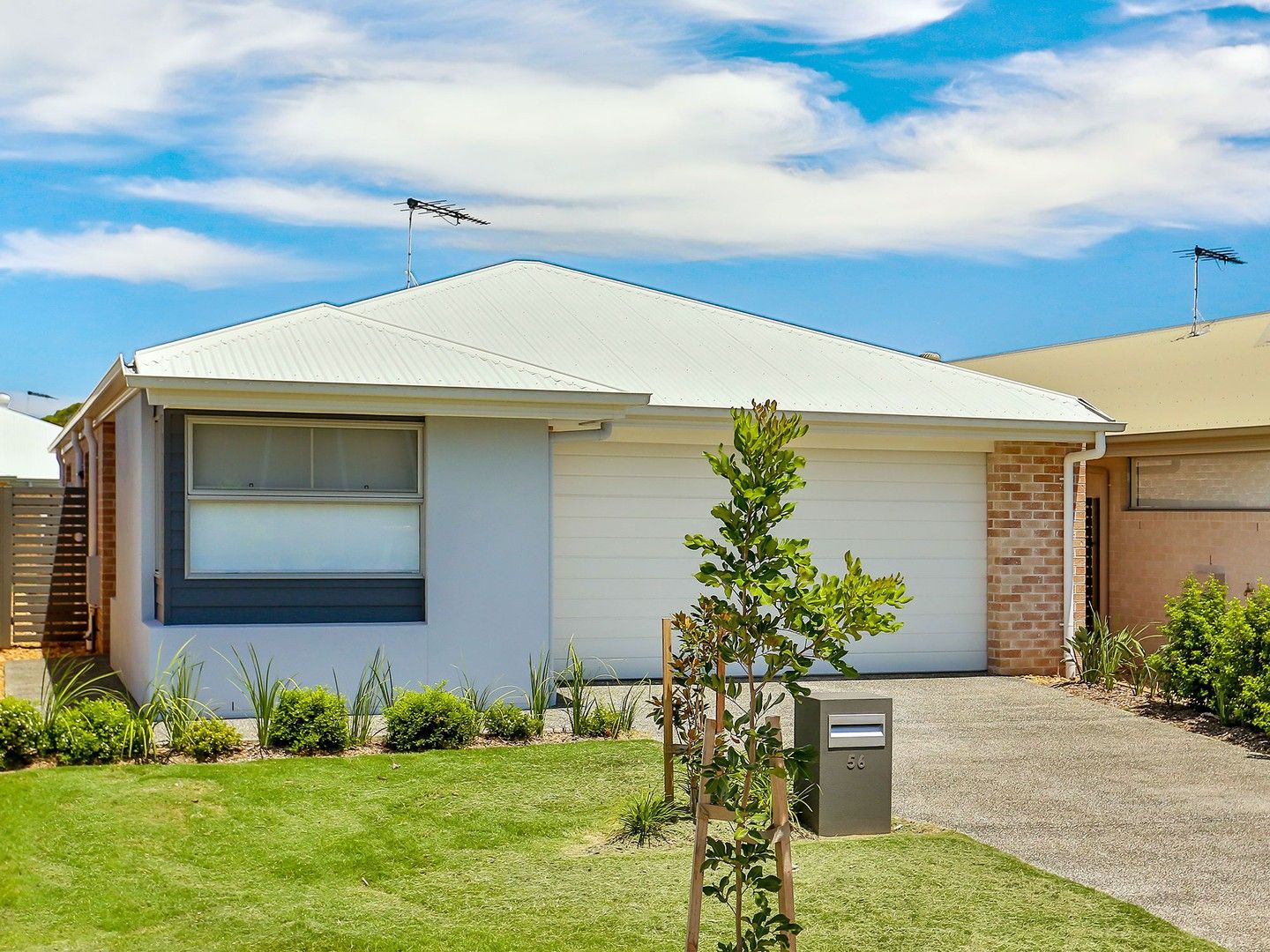 56 HARVEY CIRCUIT, Griffin QLD 4503 Domain