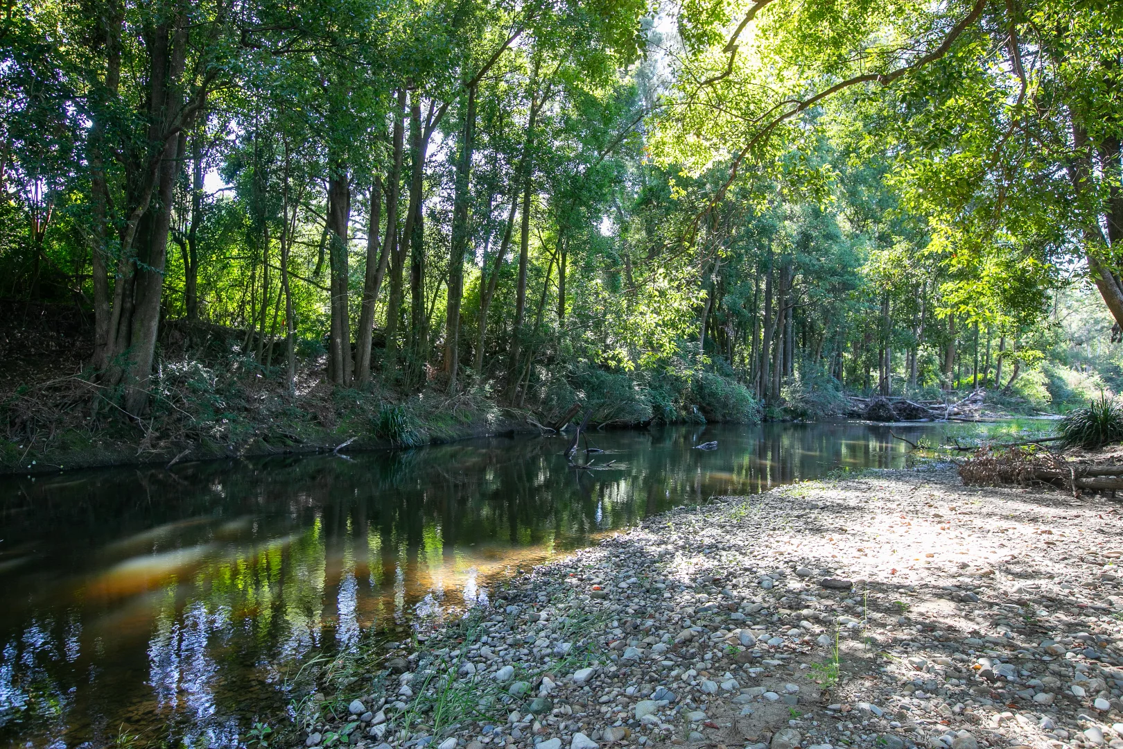 Additional image 14 of 1 Barrington Street, Gloucester NSW 2422