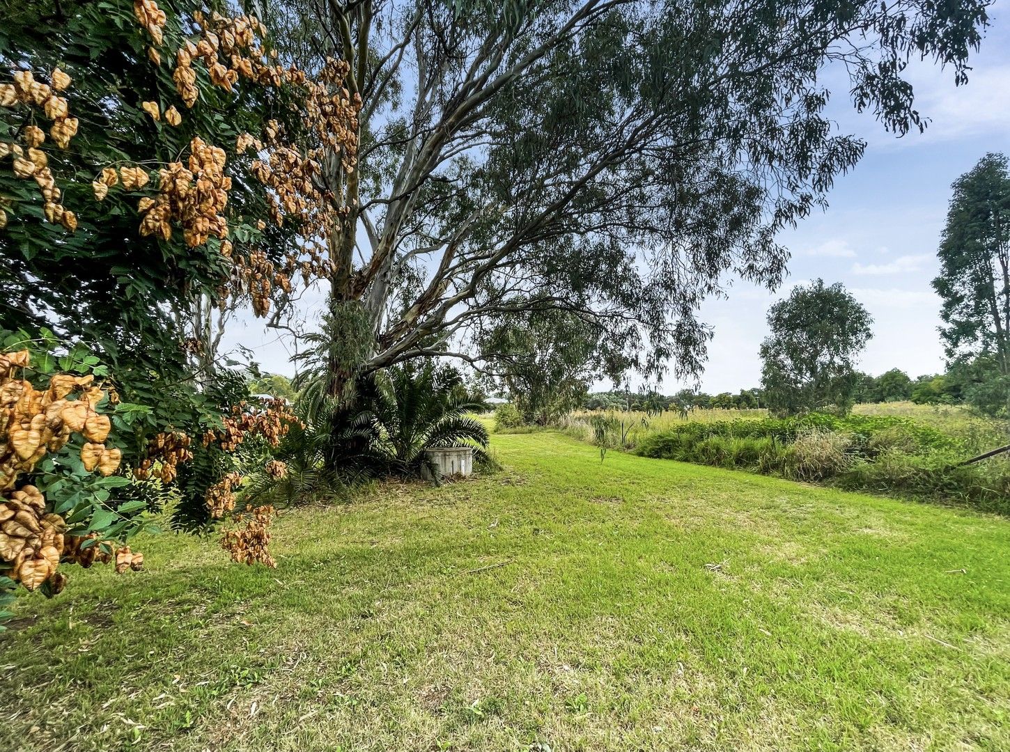 Lot 4 Broad Street, Eugowra NSW 2806 Domain