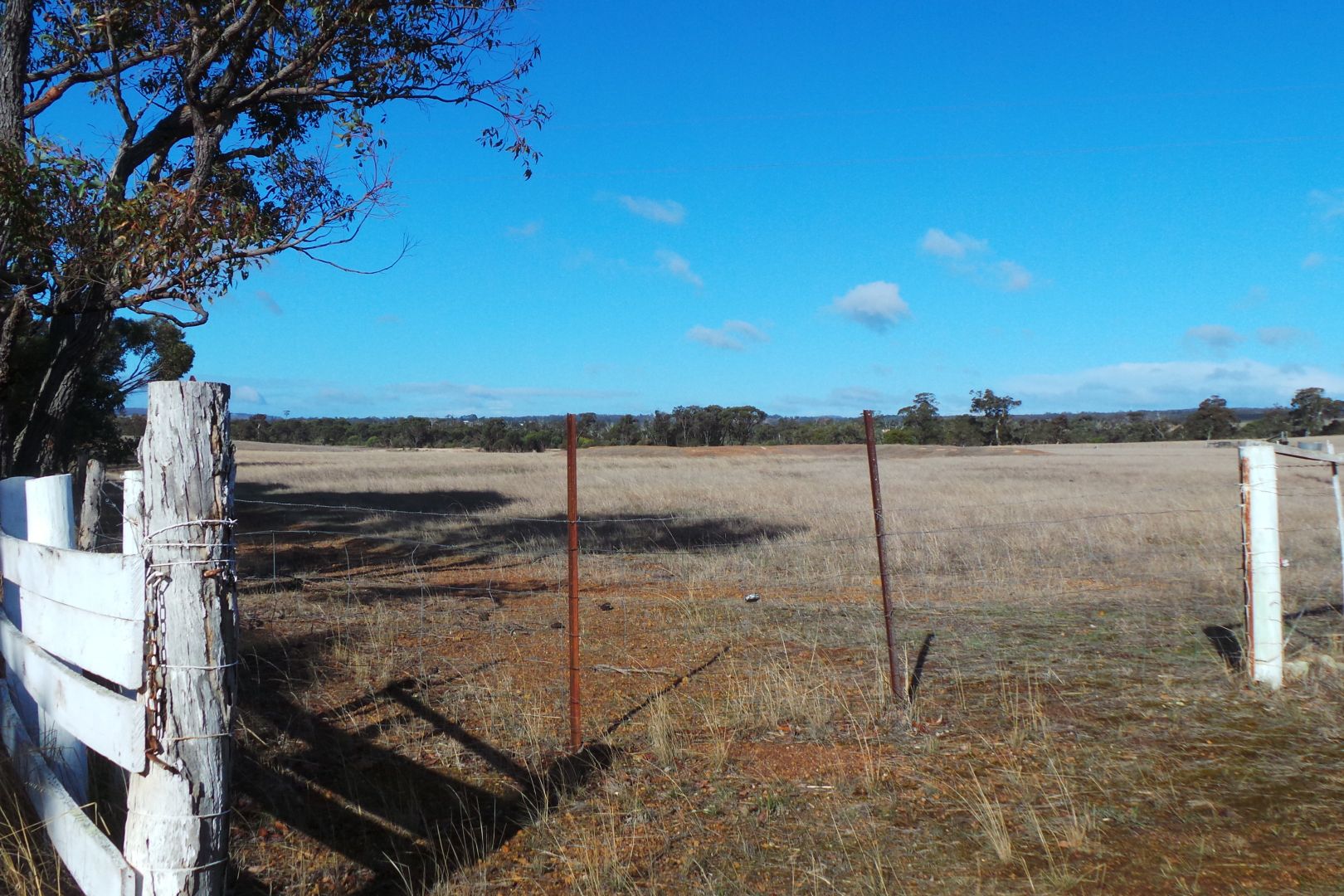 907 Carbarup Road, Kendenup WA 6323, Image 1