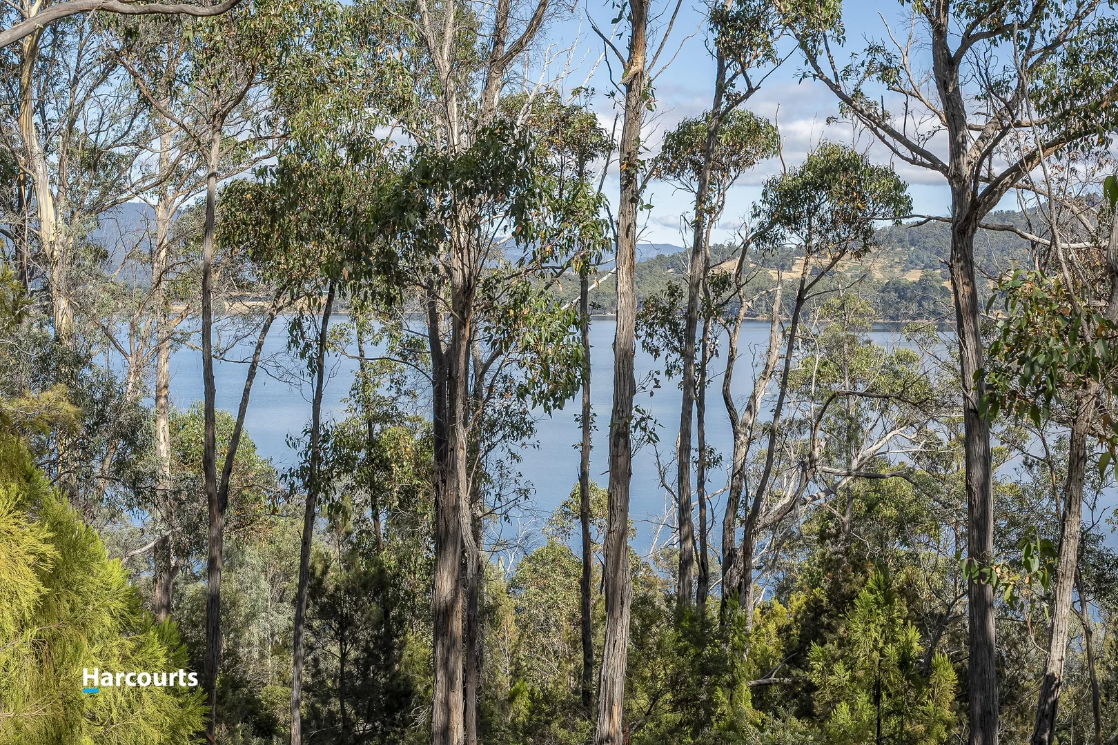 Image 14
