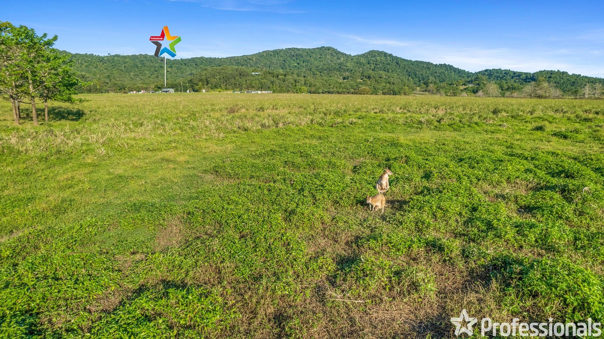 Lot 14 Kruckow Road, East Russell QLD 4861, Image 1