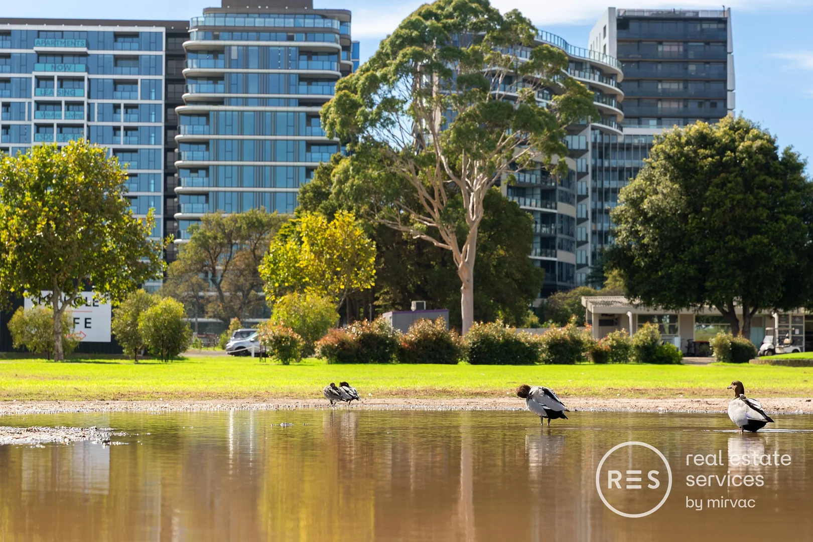 Additional image 22 of 706/31 Queens Lane, Melbourne VIC 3004