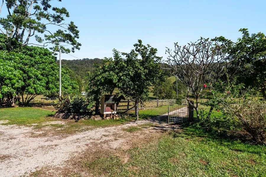 Image 15