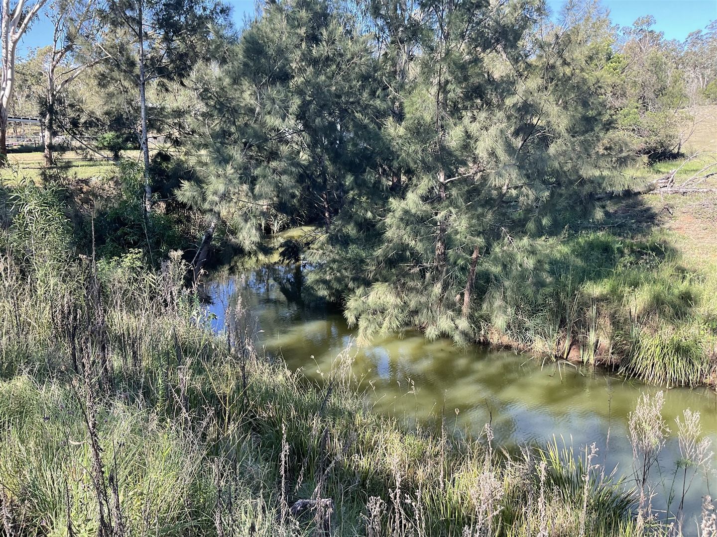 8 Thomsett St, Yarraman QLD 4614 House for Sale 379,500 Domain