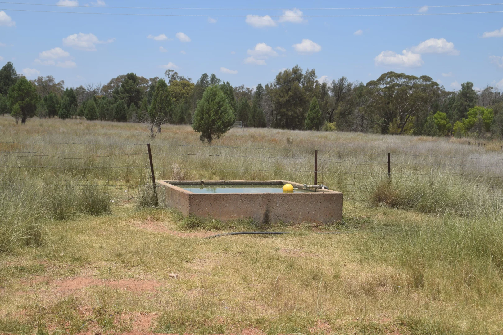 Image 21