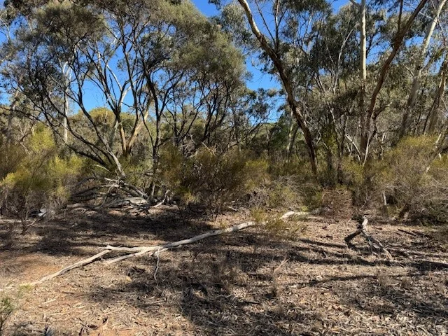 Image 8