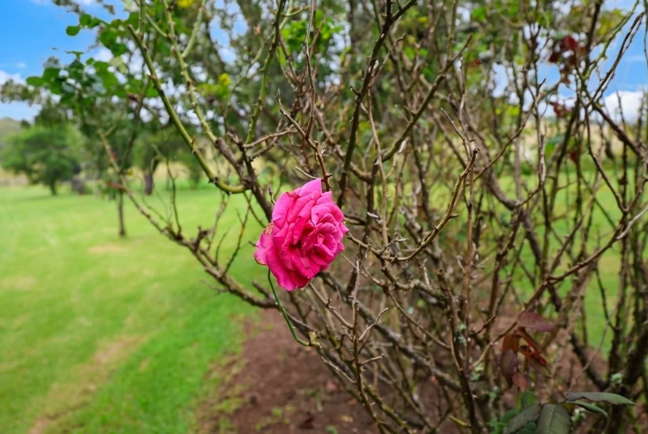 Additional image 54 of 103 Rural Road, Nanango QLD 4615