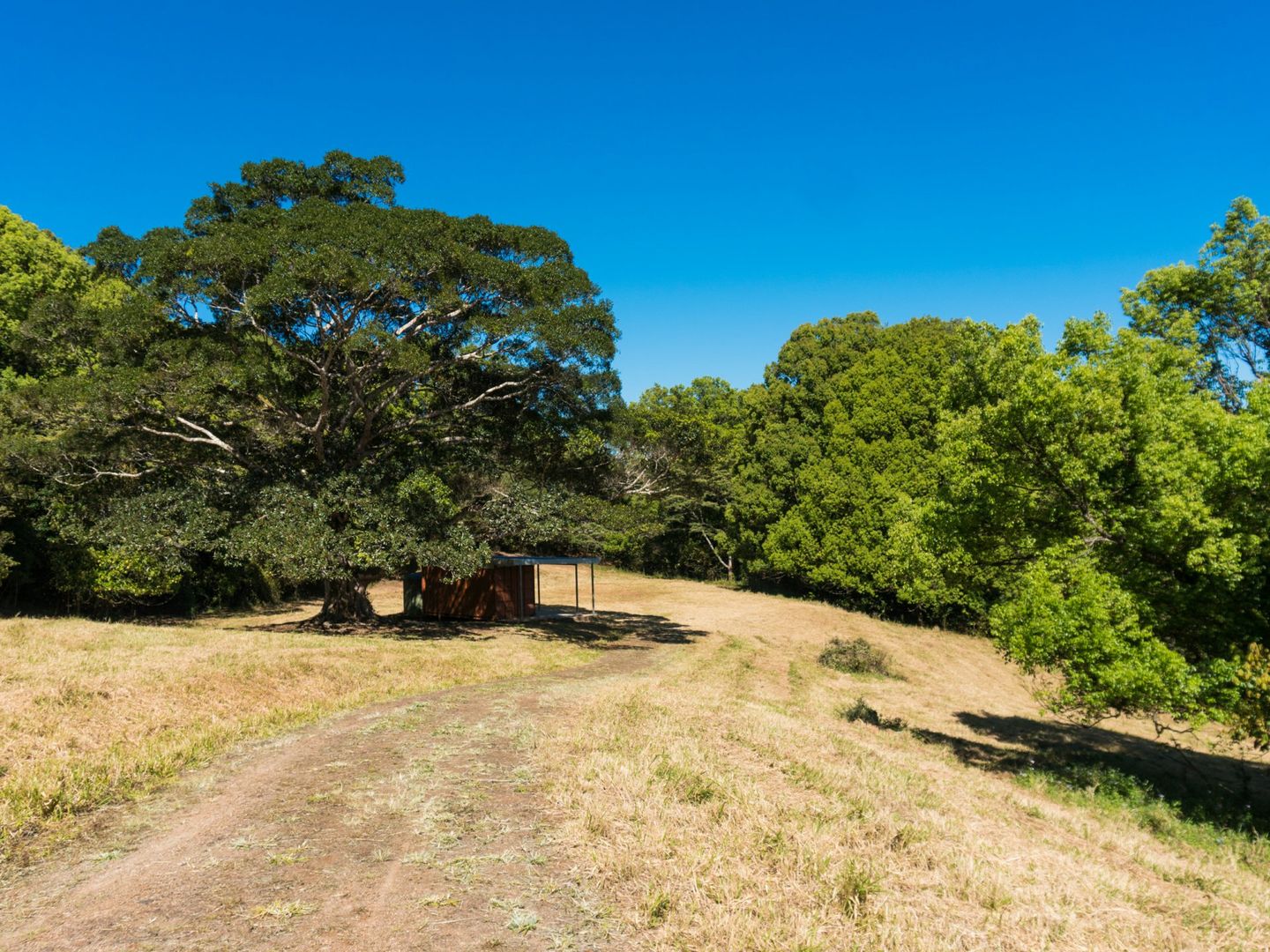 Tarzali QLD 4885 Vacant Land for Sale 180,000 Domain