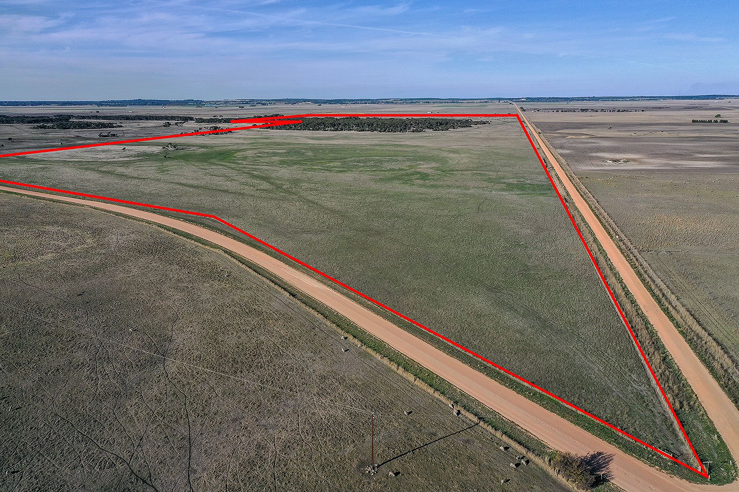 454 Robertson Hundred Line Road, Naracoorte SA 5271, Image 1