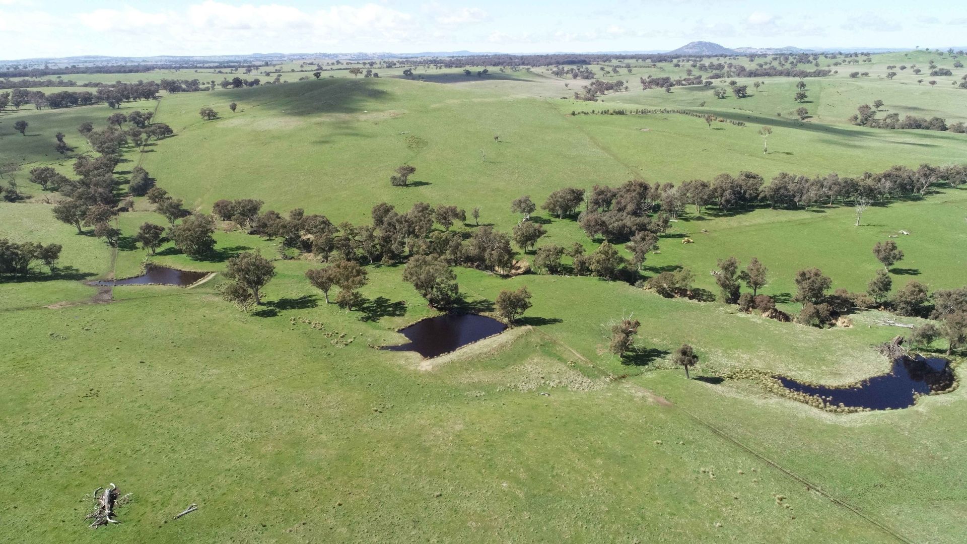 Yass NSW 2582 House for Sale Domain