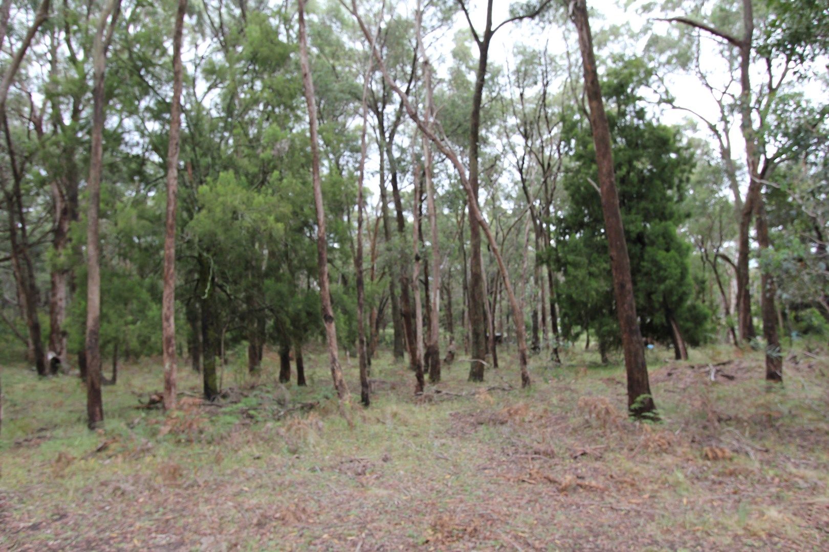 Lot 2 Old Cartons Lane, GORDON VIC 3345, Image 0