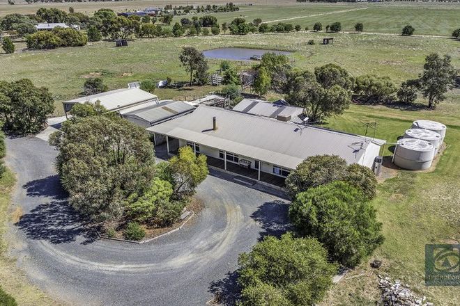 Picture of 1222 Mount Terrick Road, ECHUCA VIC 3564