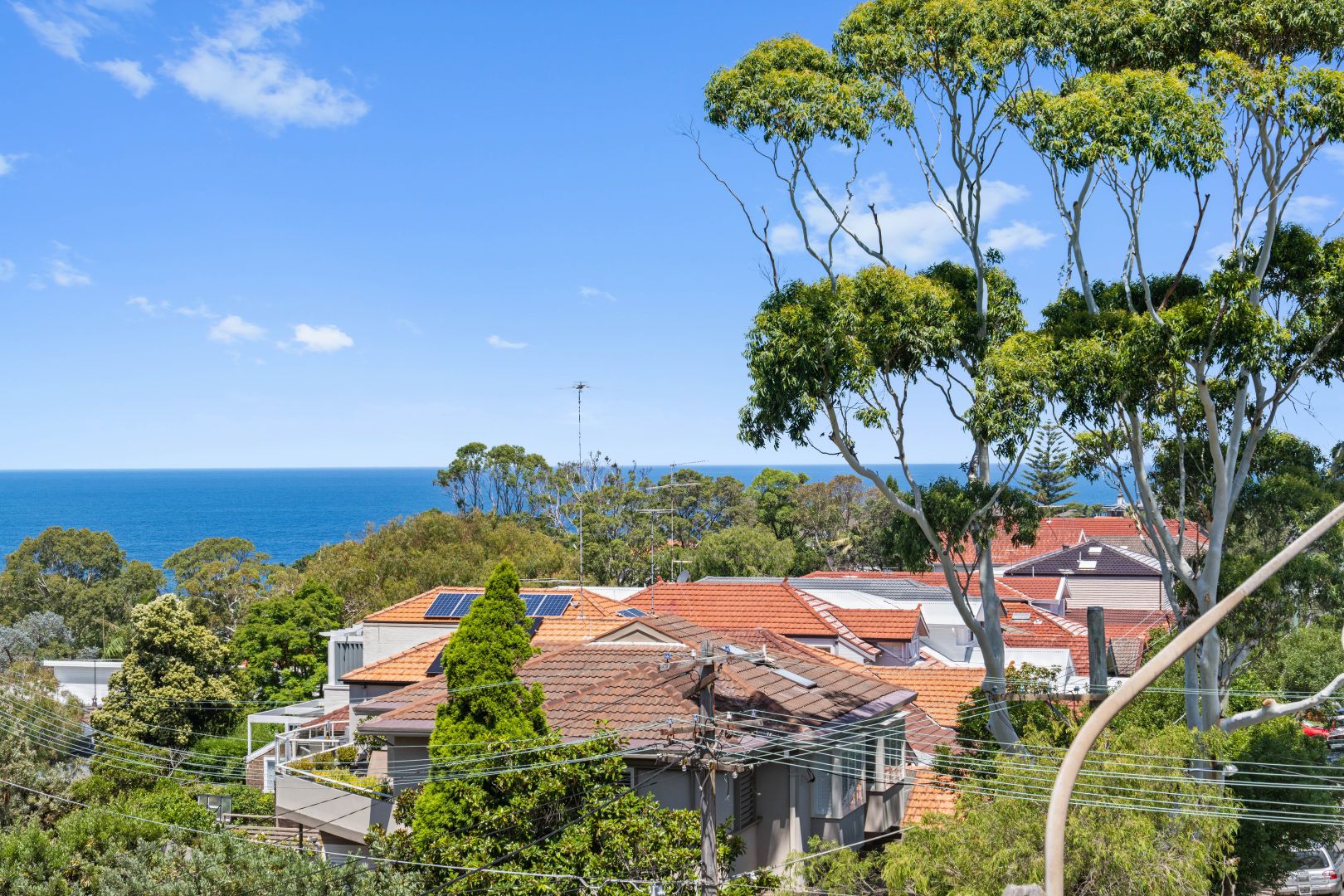 12/227-231 Clovelly Road, Clovelly | Property History & Address ...