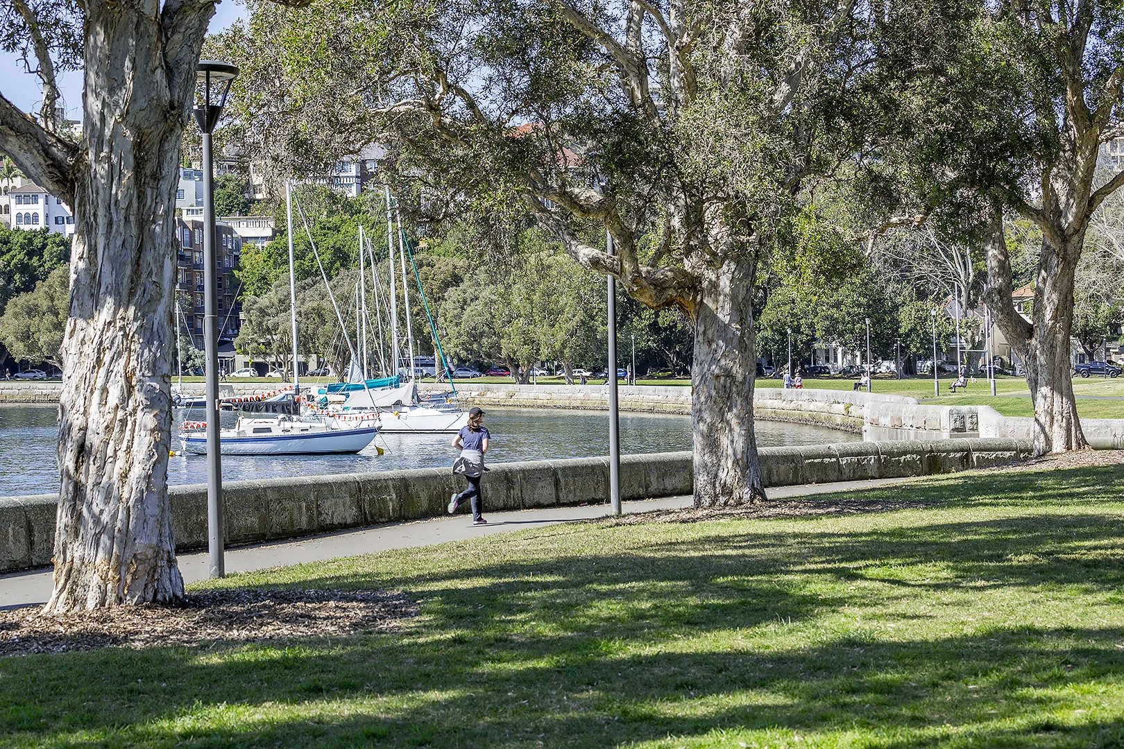 Additional image 9 of 20 Waratah Street, Rushcutters Bay NSW 2011