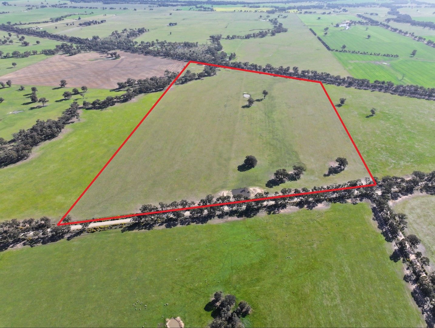 Brenanah-Kurting Road, Kurting VIC 3517, Image 0