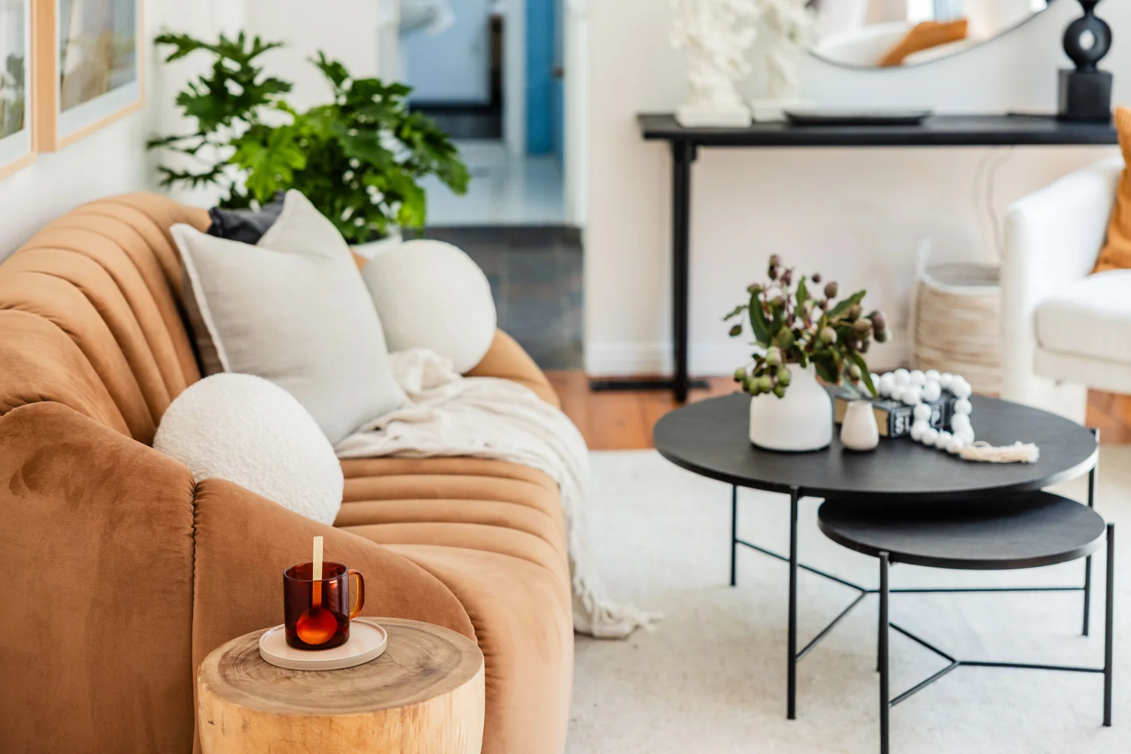 Additional image 10 of 41 Grove Street, Lilyfield NSW 2040