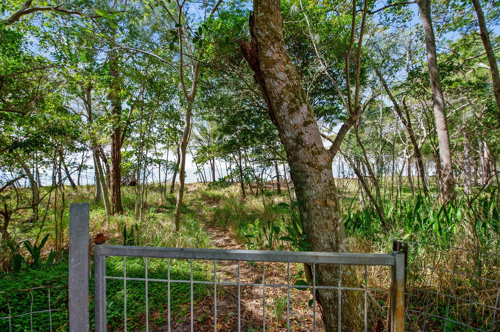 38 A&B Poinsettia Street, Holloways Beach QLD 4878, Image 1