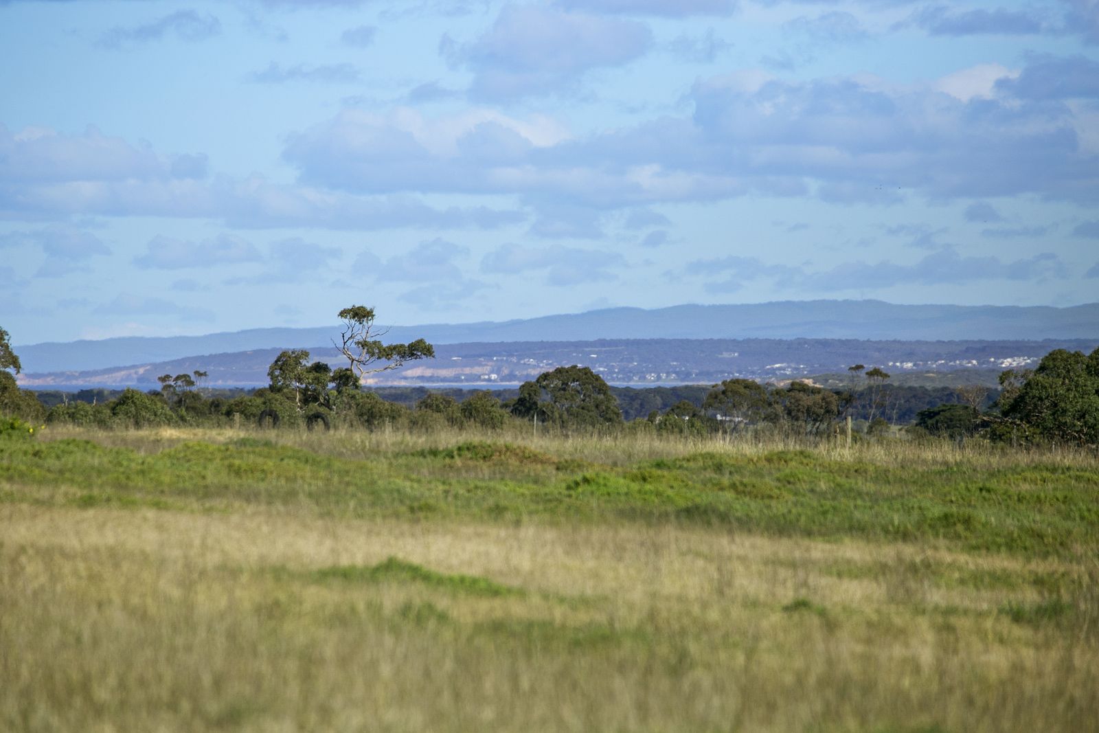 120 Sproules Road, Wallington VIC 3221, Image 1