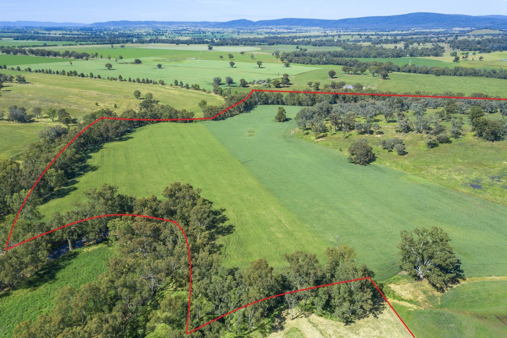 Lot 2 Conimbla Road, Cowra NSW 2794, Image 0