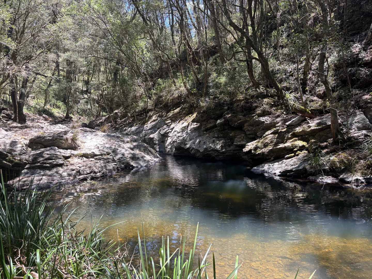 Additional image 11 of 83 Eaglehawk Trail, Yarrowitch NSW 2354